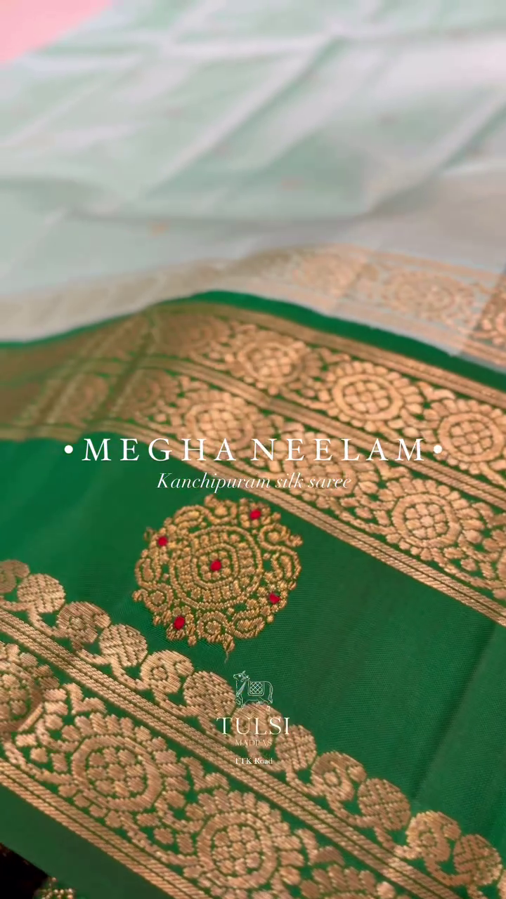 Megha Neelam Kachipuram Silk Saree